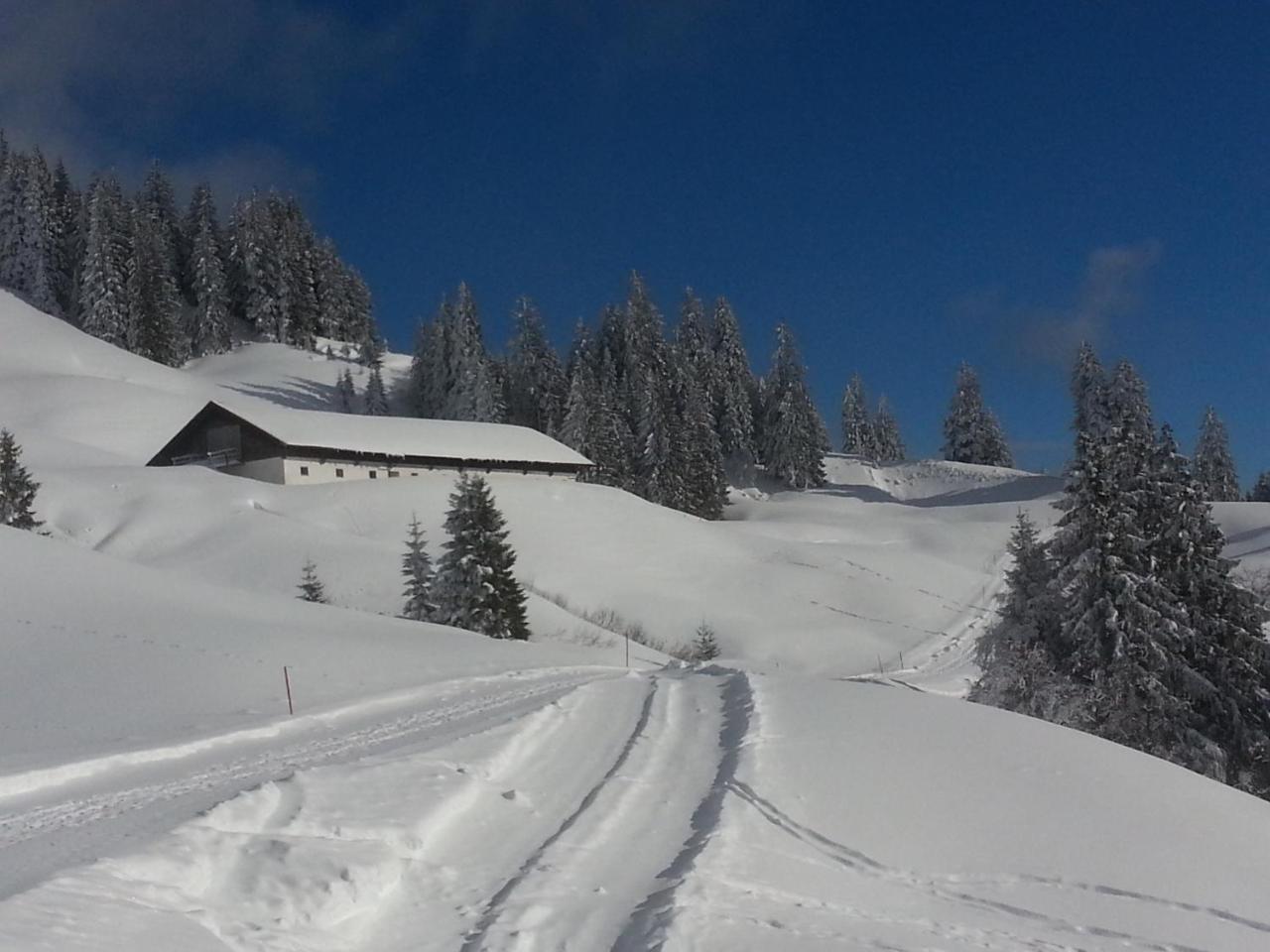 Landhaus Berktold Obermaiselstein Eksteriør billede